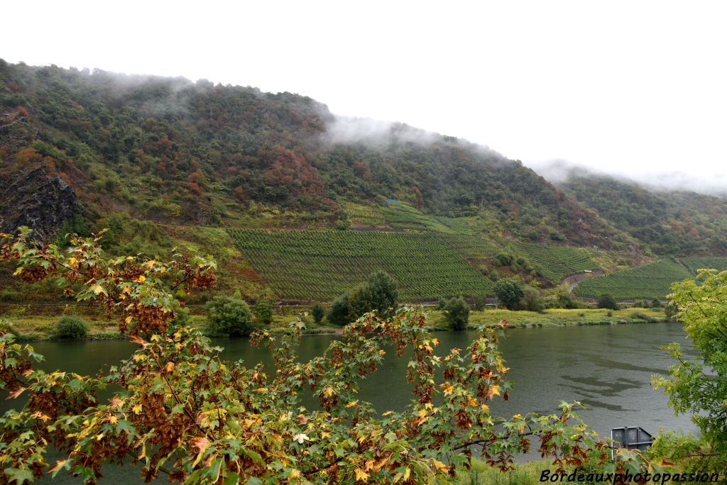 Sur chaque lopin de bonne terre, l'homme y a planté de la vigne quelle que soit la difficulté pour la cultiver.