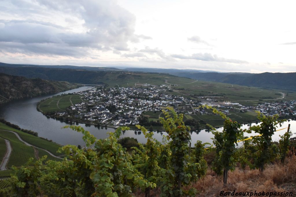 La Moselle aime prendre son temps avant d'aller se jeter dans le Rhin. Ici près de Pünderich.