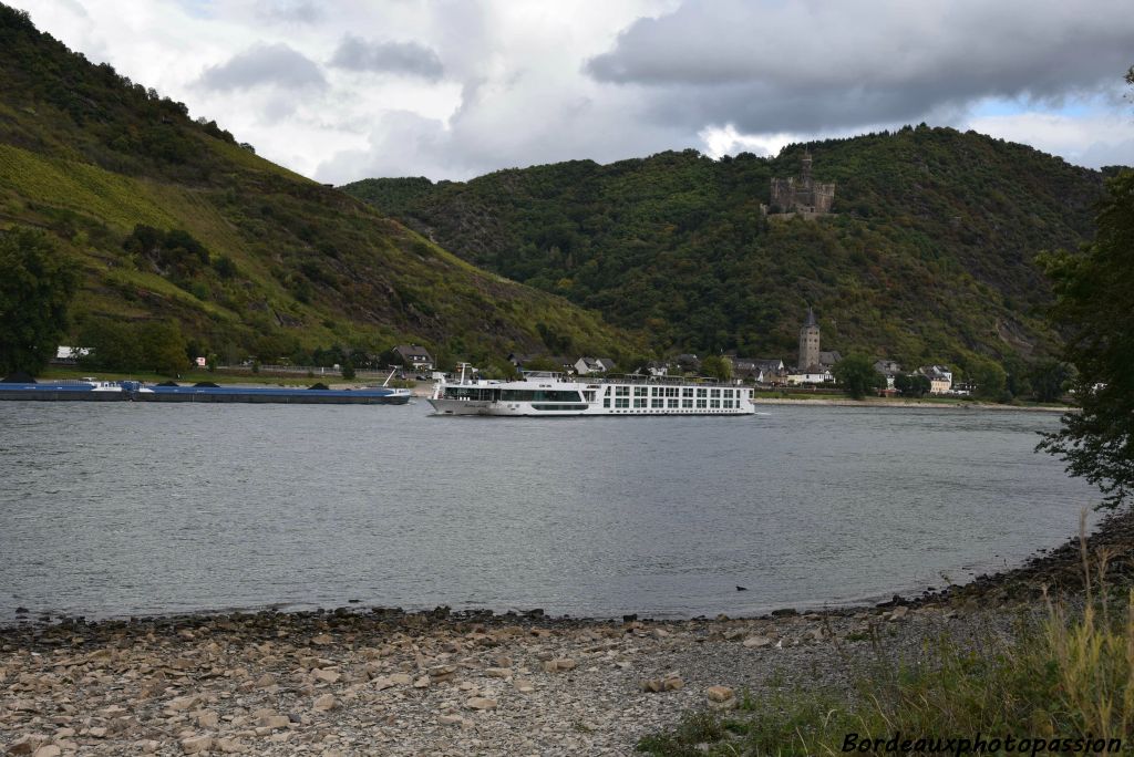 Le transport fluvial sur le Rhin est utilisé pour le vrac solide mais aussi pour le transport de passagers.