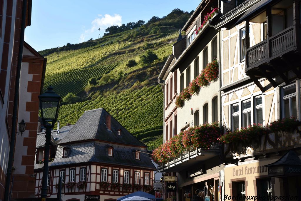 La ville est dominée par la vigne.