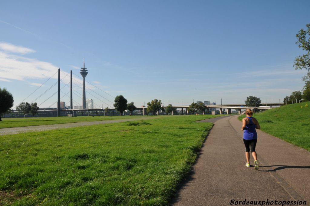 De nombreux ponts enjambent le Rhin.