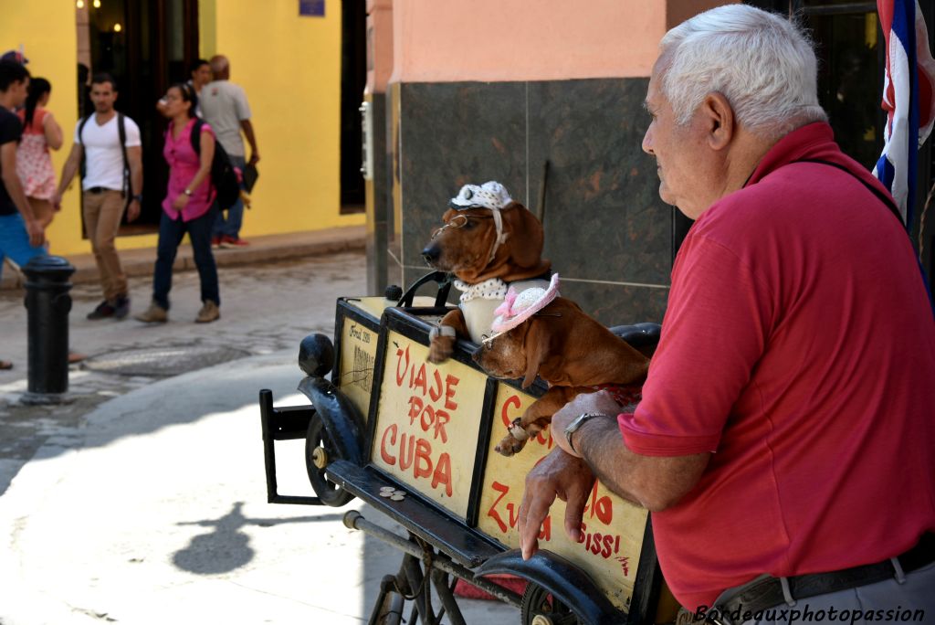 Le tourisme est la nouvelle manne de devises pour Cuba. Tout est bon pour faire une photo originale.