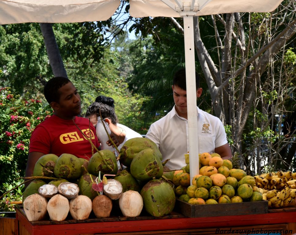 Vendeur de fruits et légumes que ce soit en ville...