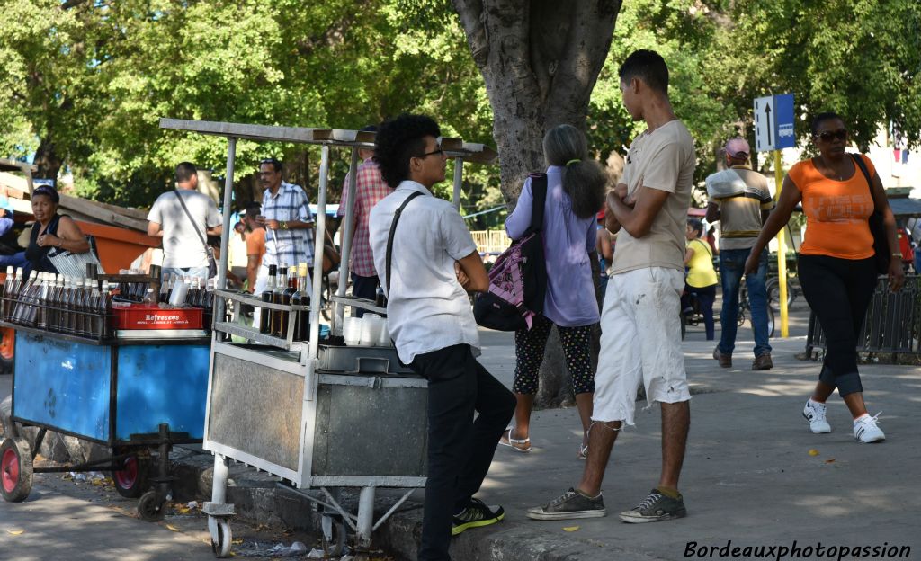 Vendeurs de rhum place des Armes...