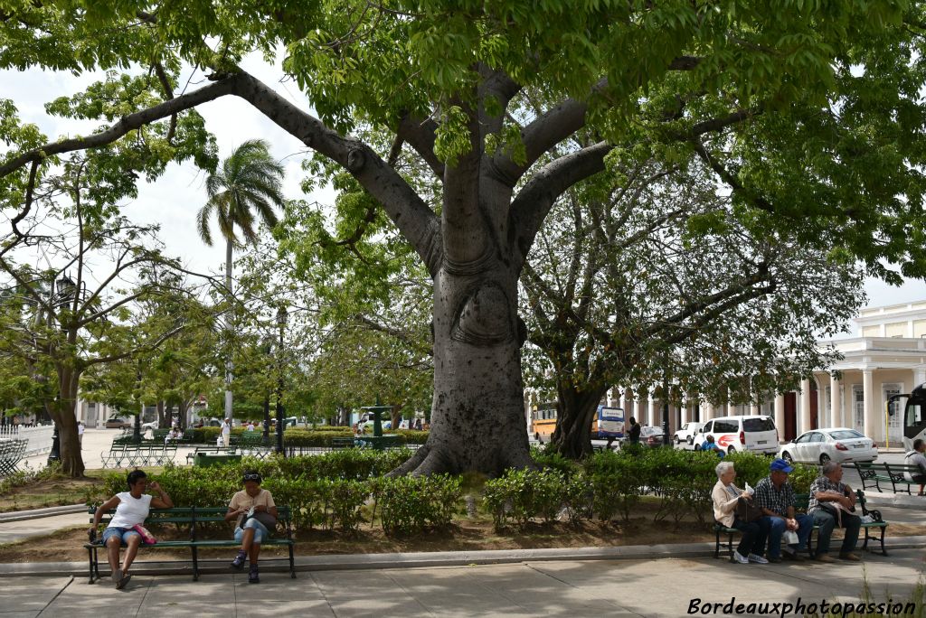 Un peu de repos dans le Parque Marti avant de visiter la ville.