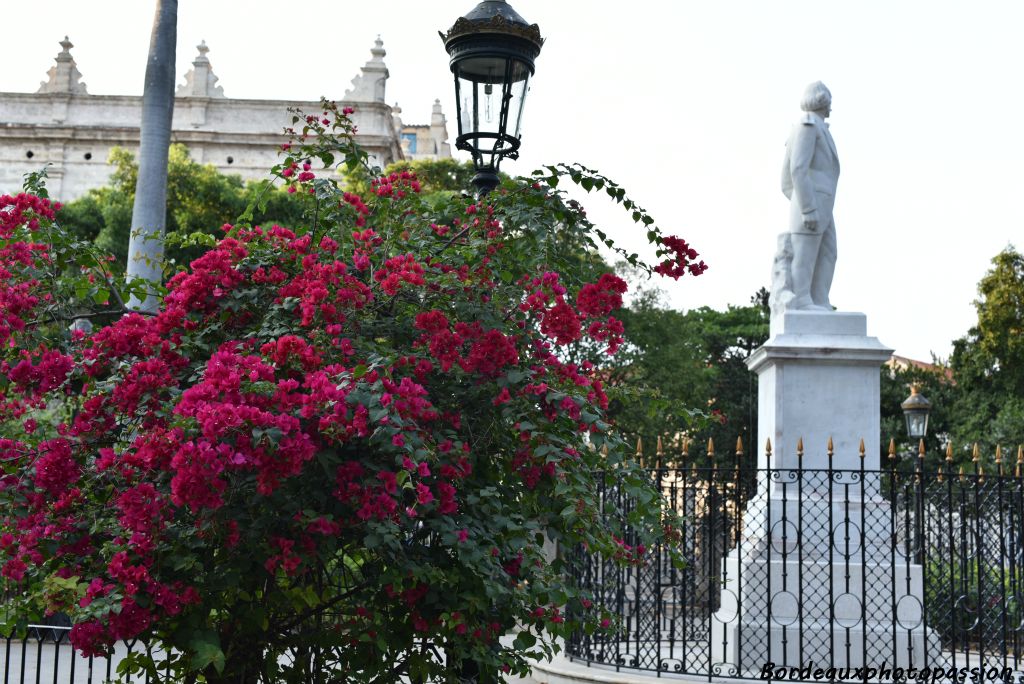 Statue de José Marti au centre de la place des Armes très ombragée et arborée.