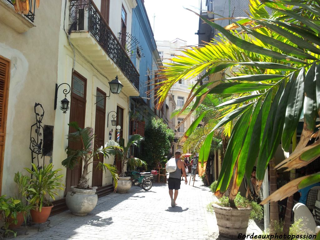 Il est très agéable de se promener dans les rues de La Havane. C'est une ville de contraste entre ses murs colorés et ses bâtiments en souffrance.
