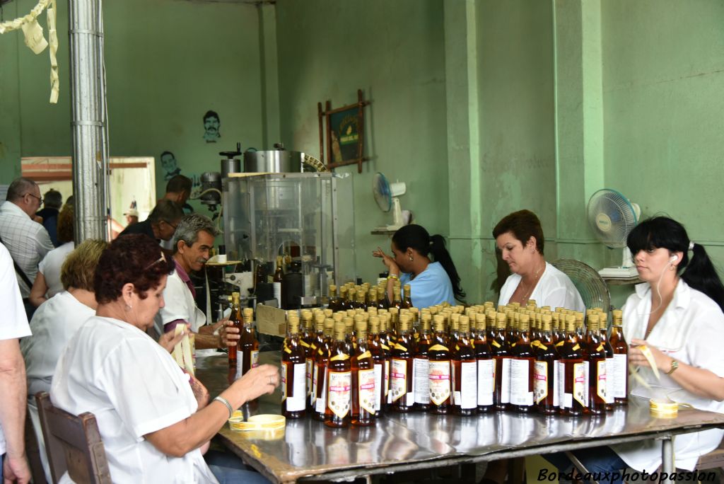 Ceux-ci sont mis à fermenter avec des épices et du rhum selon un procédé qui permet d'obtenir une liqueur plus ou moins sèche (dite « pour les hommes ») ou sucrée (pour les femmes).