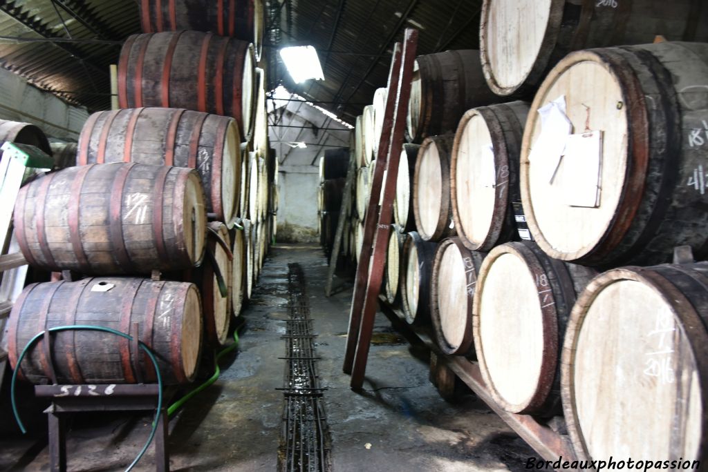 Il faudra laisser fermenter et reposer dans de vieilles barriques.