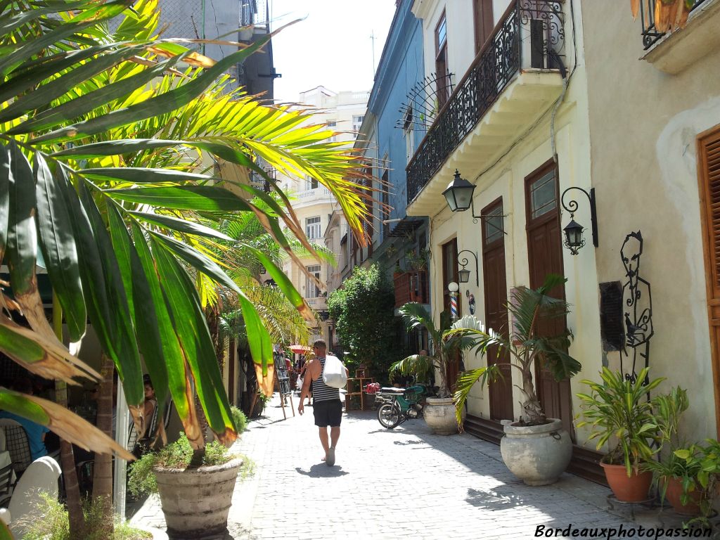 Dans la  rue Aguiar  à La Havane, est né un projet original qui mêle  l'art l'histoire et le métier de coiffeur.