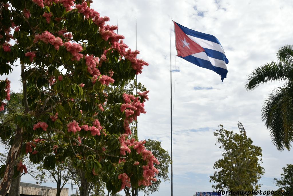 Parti combattre en Bolivie, c'est la CIA qui a fait abattre Che Guvara.