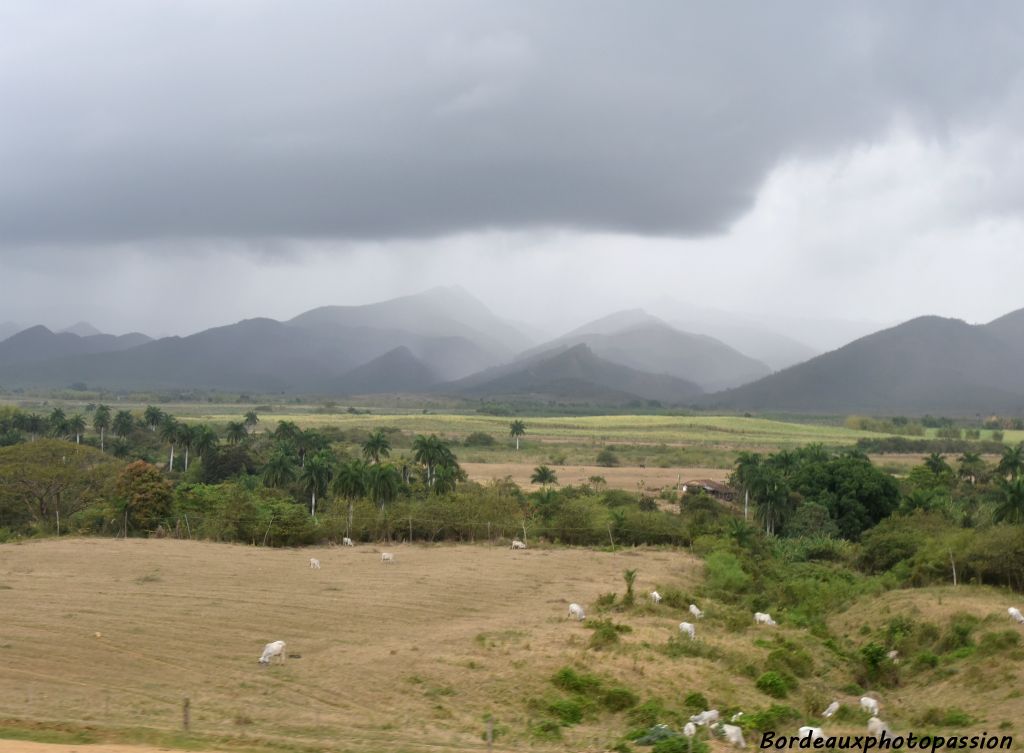 La vallée de Los Ingenios ou « vallée des sucreries » est située à l'est de la ville de Trinidad sur l'île de Cuba.