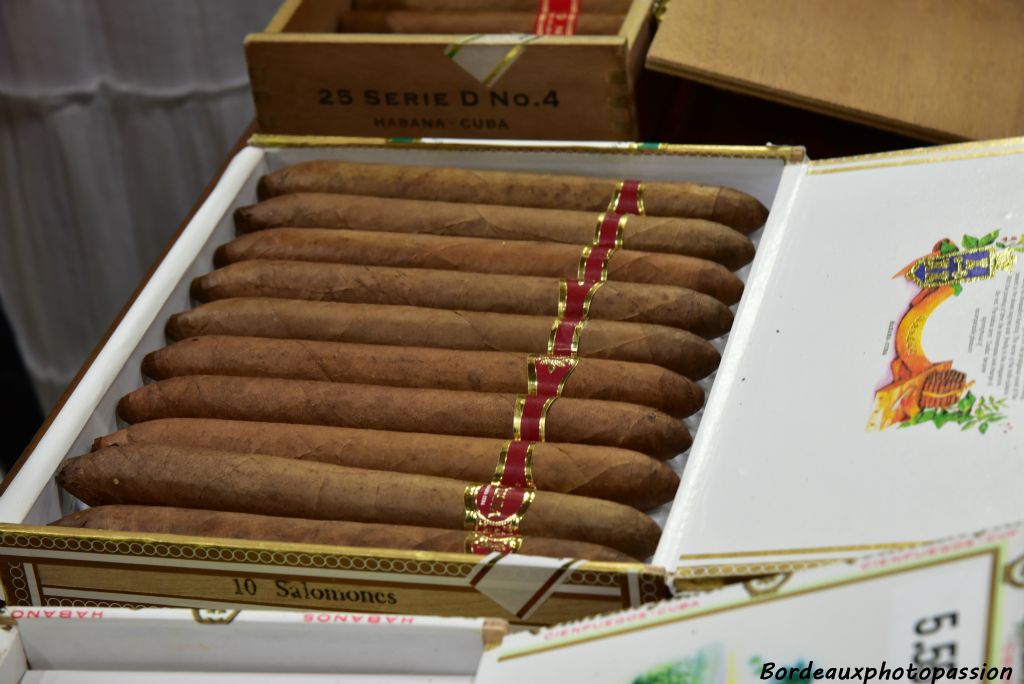 Seulement le prix des cigares haut de gamme est exorbitant pour le Cubain lambda. Les grandes marques sont  : Montecristo et son Habanos, Romeo y Julieta, Hoyo de Monterrey et Partagas, la plus ancienne fabrique de cigares encore en activité à La Havane.