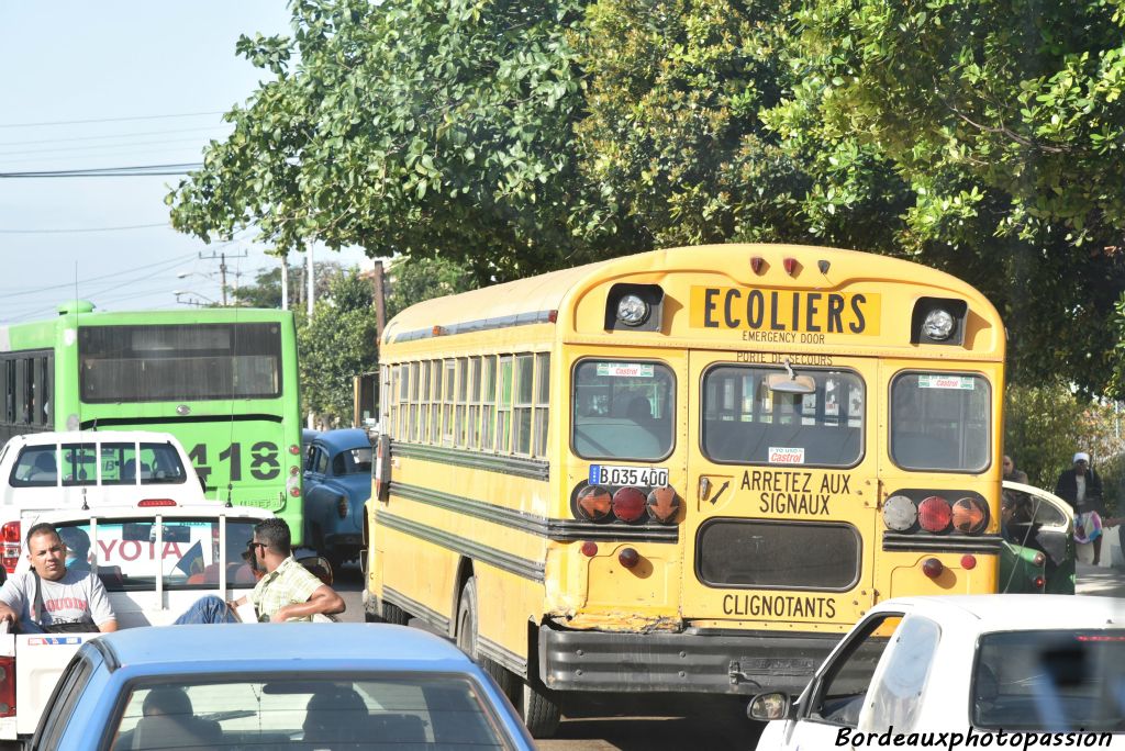 Il est fréquent de croiser des bus scolaires québécois transportant des écoliers.