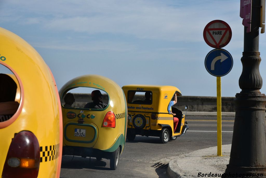 Vous pouvez aussi louer un cocotaxi. Ils sont jaunes, conduits la plupart du temps par une Cubaine.