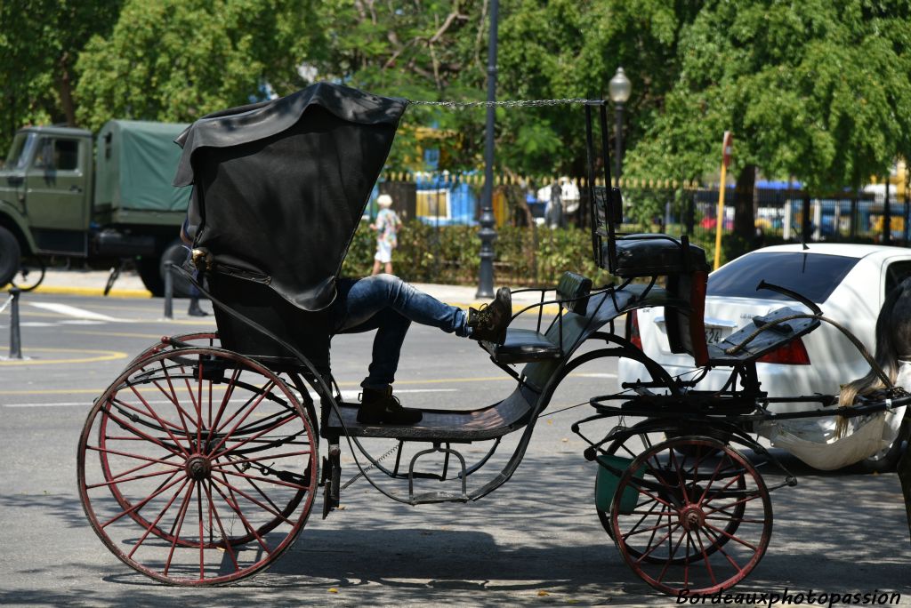 La calèche est agréable pour une courte balade en ville.