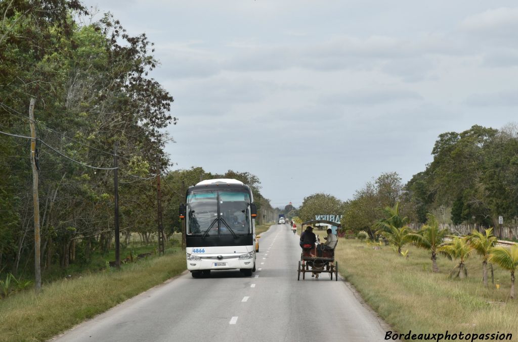 Ces véhicules hippomobiles empruntent les mêmes voies que les camions et les bus...