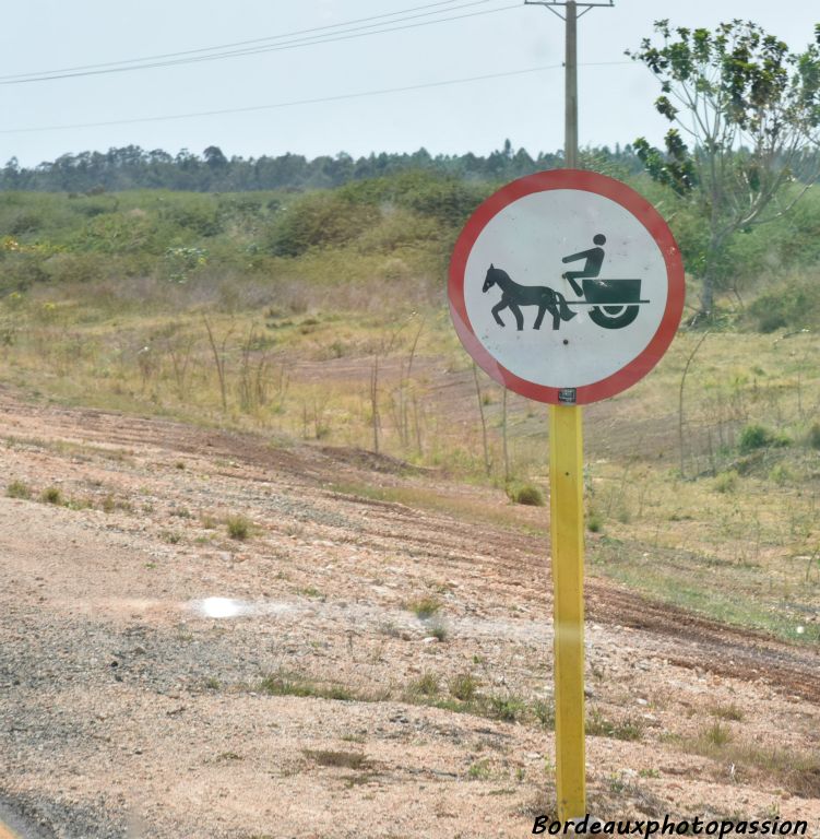 ...enfin parfois ils n'ont pas accès aux routes.