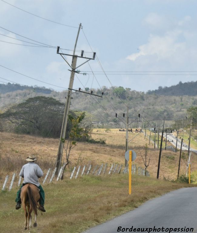 Dans certianes régions, le cheval est très présent.