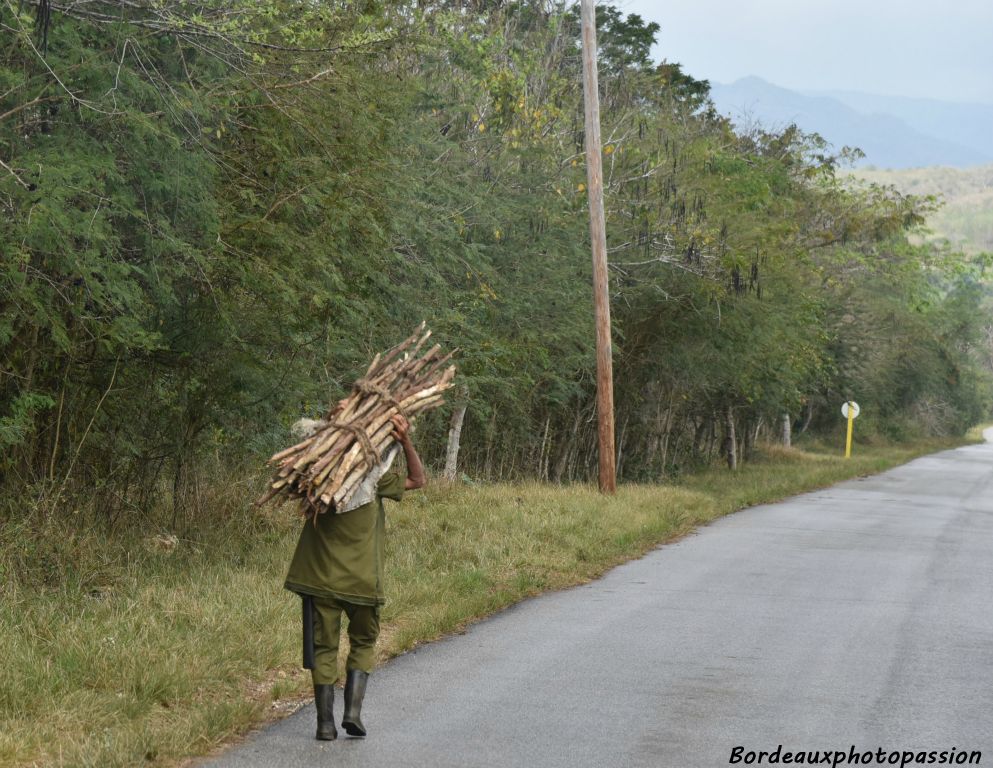 La marche aussi ! Mais à Cuba s'il y a une qualité qu'il faut posséder quand on veut se déplacer c'est...