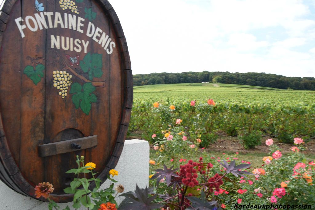 Notre périple en Champagne commence par de petits villages où la production de raisins est la principale activité.