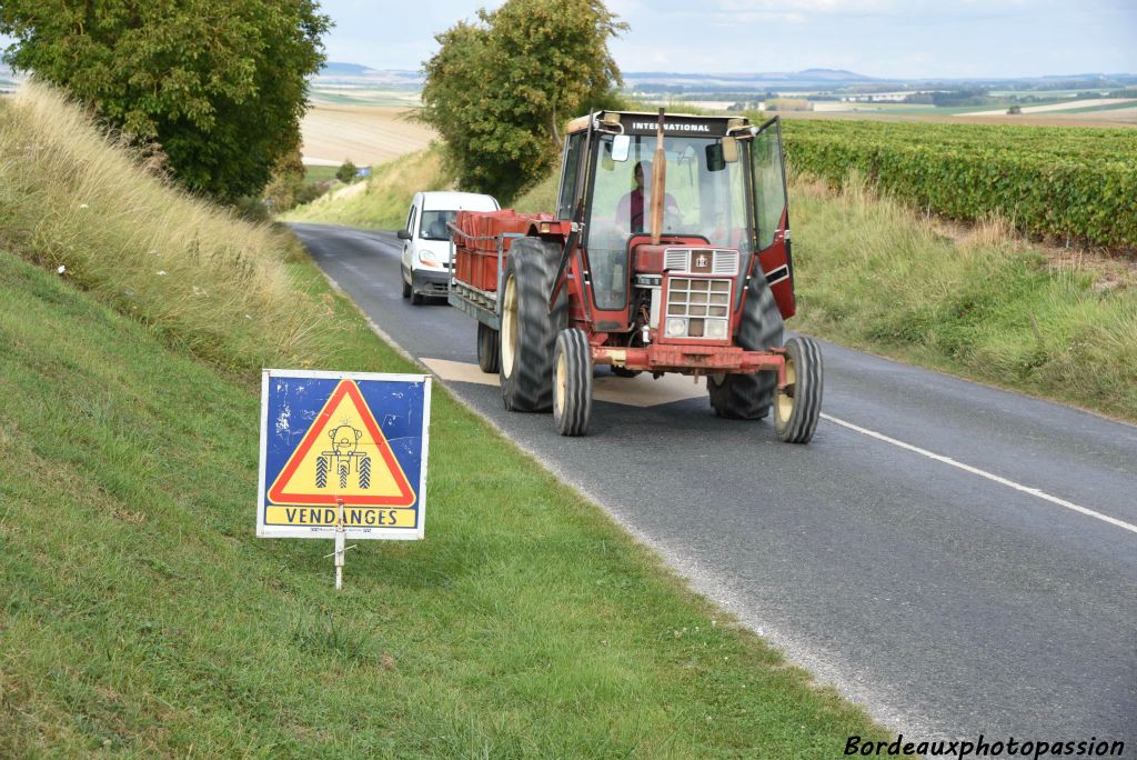 Fin septembre,  c'est déjà la fin des vendanges.