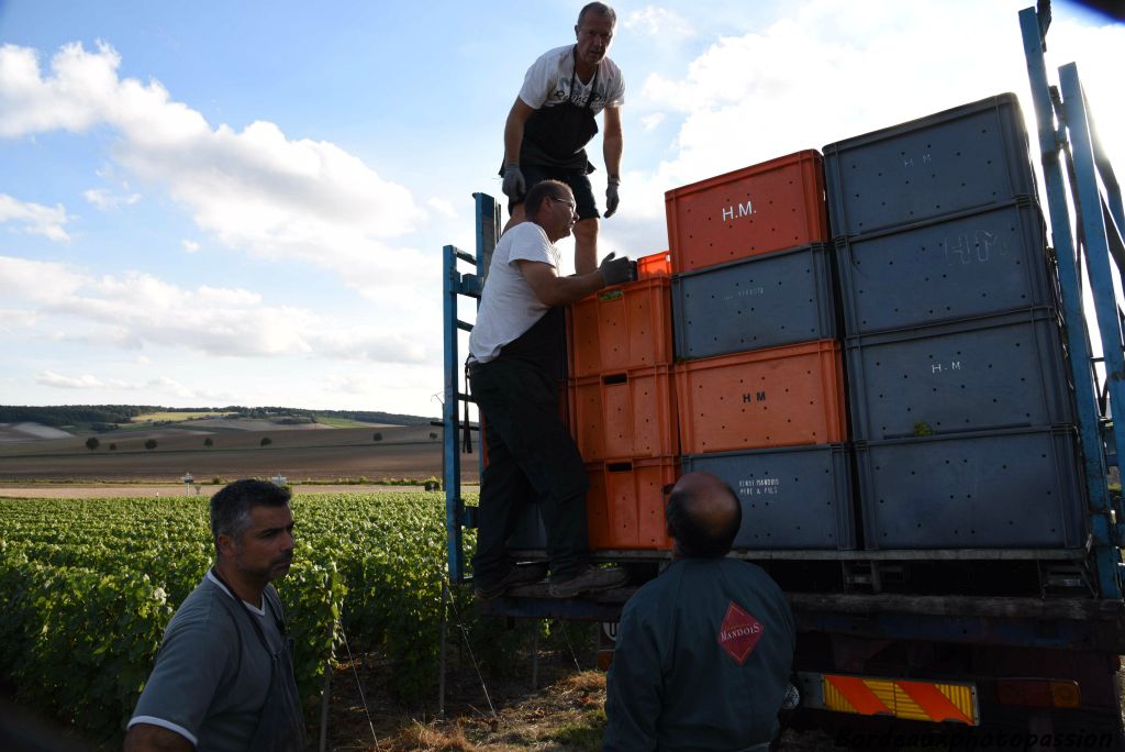 Une cagette pleine pèse de 45 à 50 kg. Elle comporte au fond et sur tous les côtés des orifices permettant l’écoulement rapide et complet du jus  des raisins et des éventuelles eaux de pluies. 