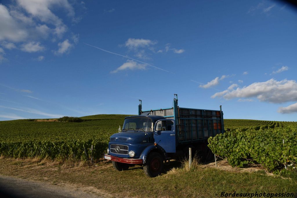 Le camion est prêt à livrer son chargement... vers Épernay, Reims ou un des nombreux villages alentours ? 