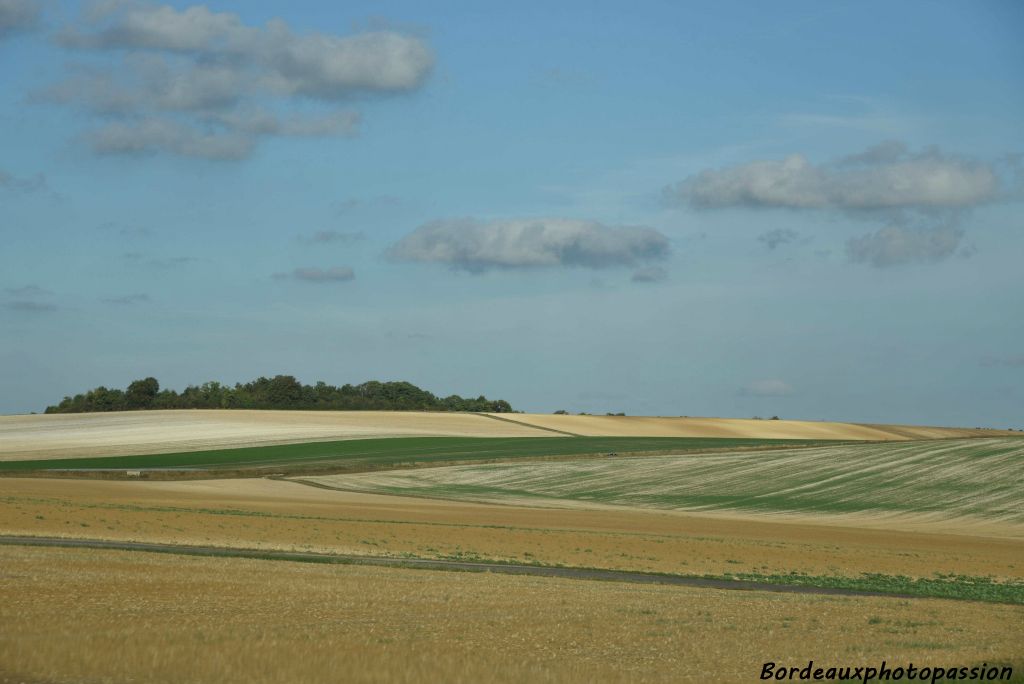 La Marne, ce n'est pas toujours des vignobles !