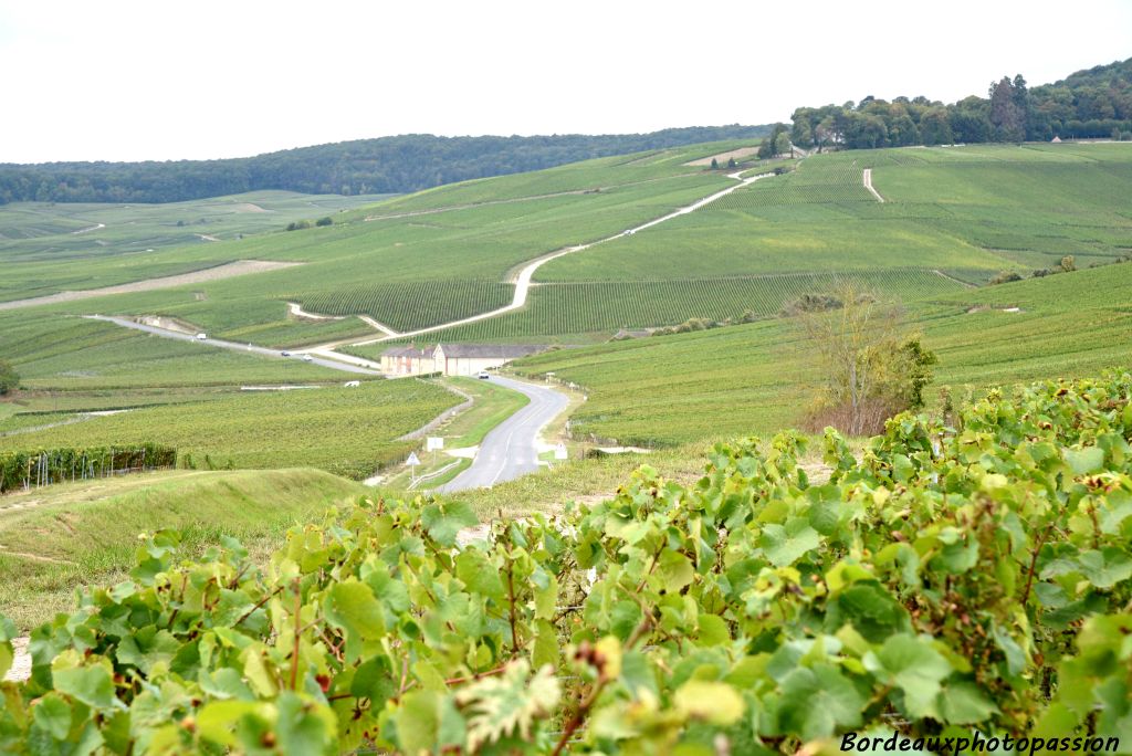 Repartons dans la campagne champenoise !