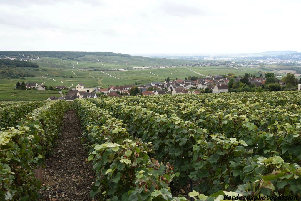 Vue au-dessus du village d'Hautvillers.