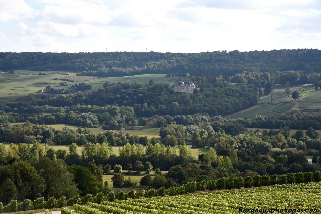 Au loin, le château de Boursault est un château français de style Renaissance situé dans la commune de Boursault, près d'Épernay,