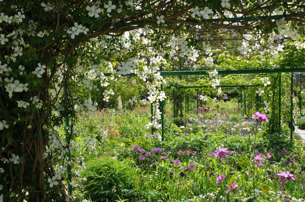 De nombreuses tonnelles  supportent des fleurs grimpantes.