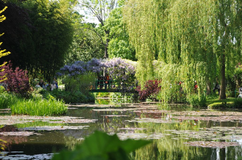 De nombreux ponts pour franchir les cours d'eau. Ici le pont japonais certainement inspiré d'une des nombreuses estampes acquises par Monet.