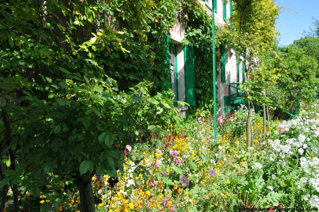 Une pergola, des rosiers grimpants, de la vigne vierge... la maison doit se fondre dans le jardin.