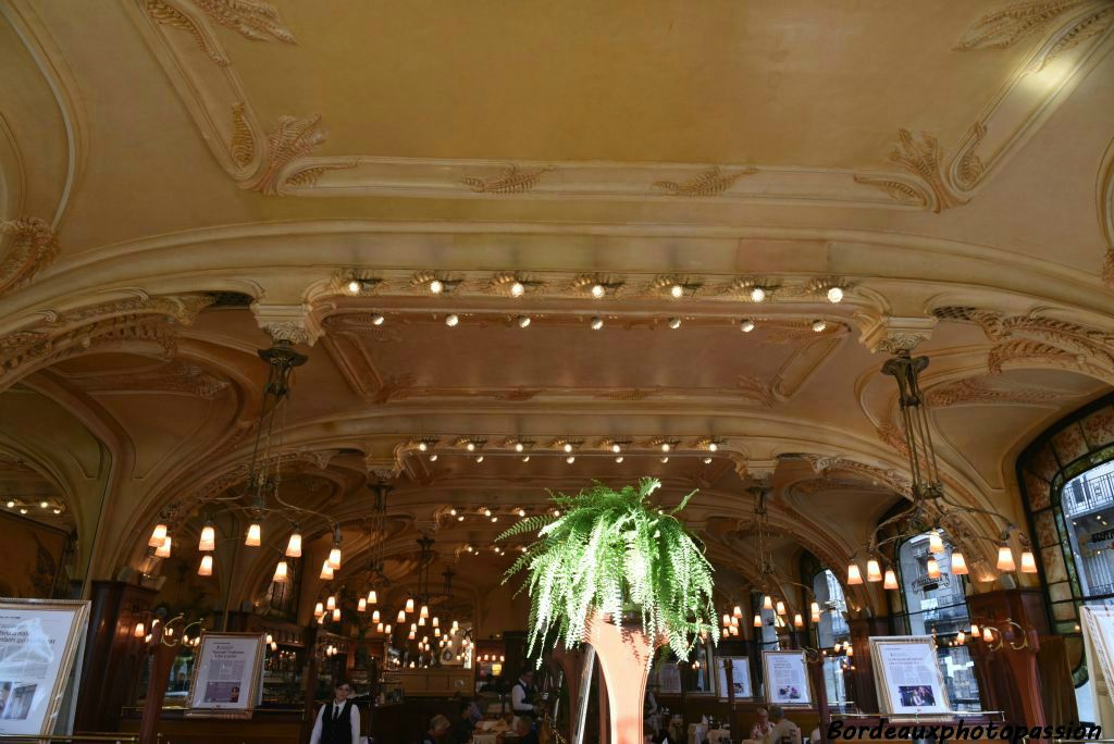 La salle de la brasserie, authentique chef-d’œuvre avec des lignes courbes  mêlées aux thèmes végétaux et exotiques, sont celles que l’Art Nouveau nancéien.