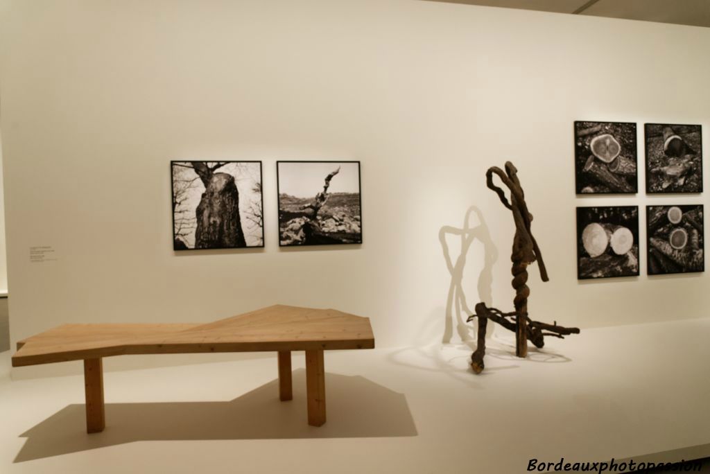 Prototype de table éventail ayant appartenu à Charlotte Perriand 1972 avec à droite une installation végétale de l'atelier de Charlotte Perriand.