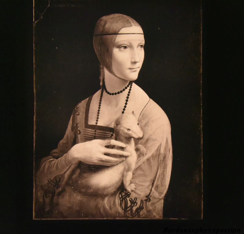 Réflectographie infrarouge  du portrait de Cecilia Gallerani dite La Dame à l'hermine, symbole de modération.