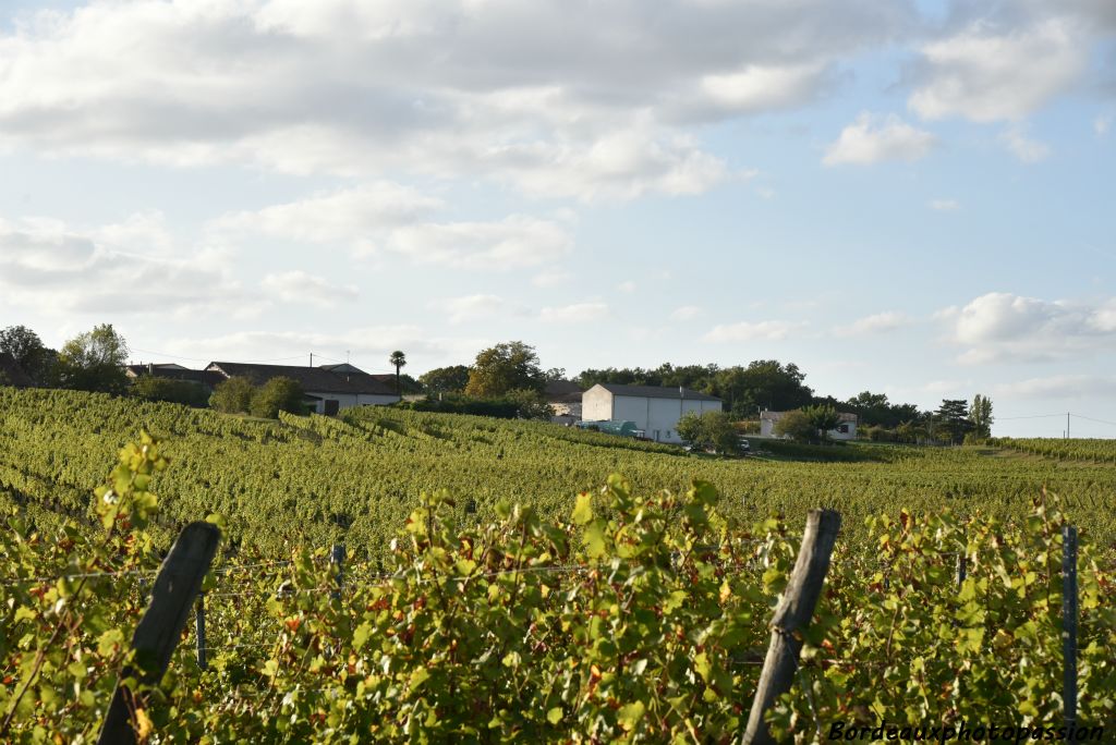 Ce n'est pas par la beauté de ses bâtiments que le château Barouillet se distingue...