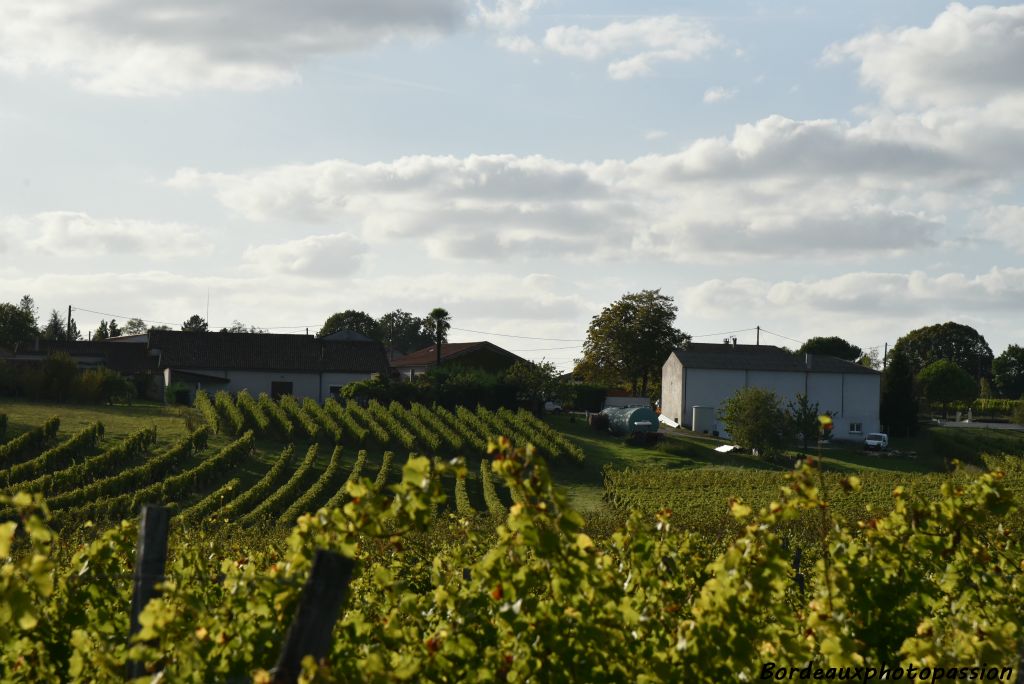 C'est plutôt à l'originalité de ses vins bio qu'il doit sa renommée.