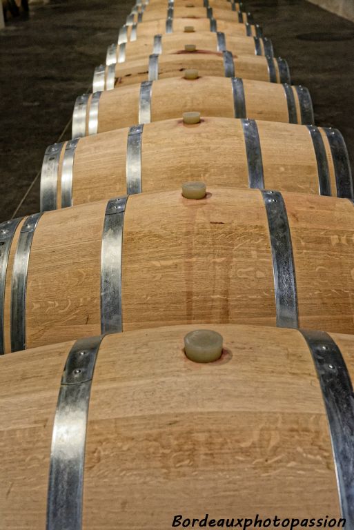 Il permet aux Côtes de Bergerac un élevage serein, dans un lieu privilégié et climatisé.
