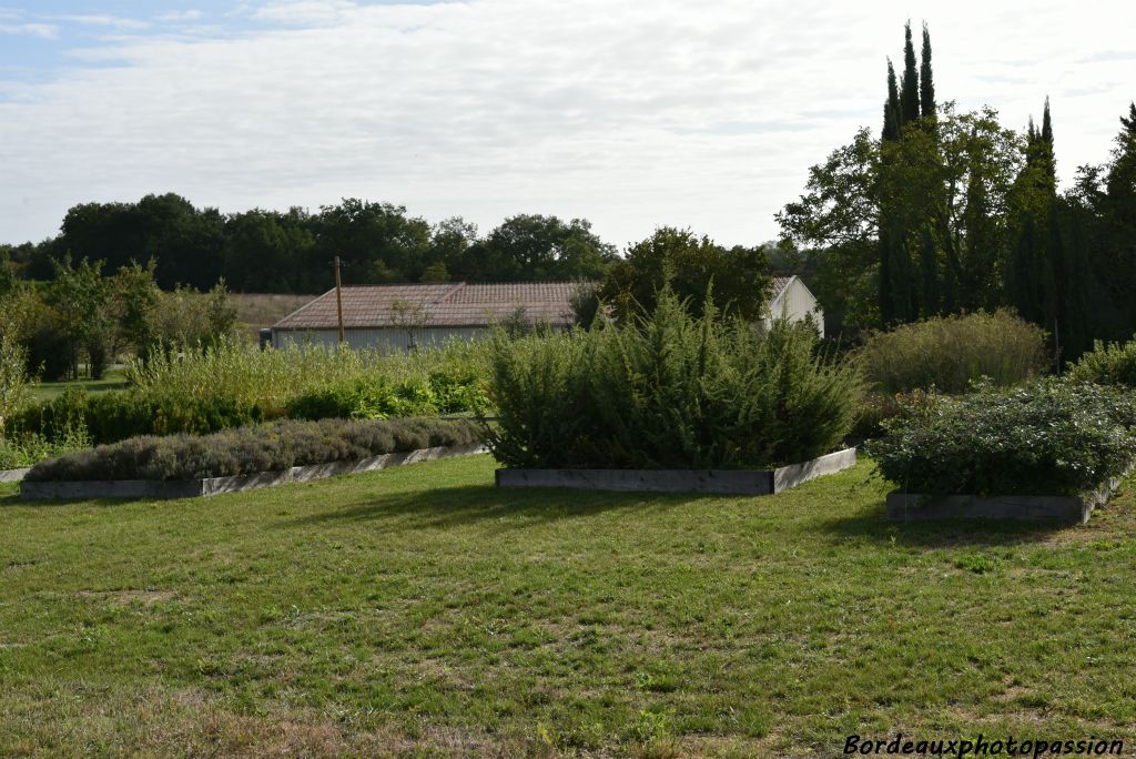 Dans la conversion en biodynamie, il a été décidé de créer un «jardin utile » afin d'avoir toujours à sa portée  les plantes utiles pour la vigne.