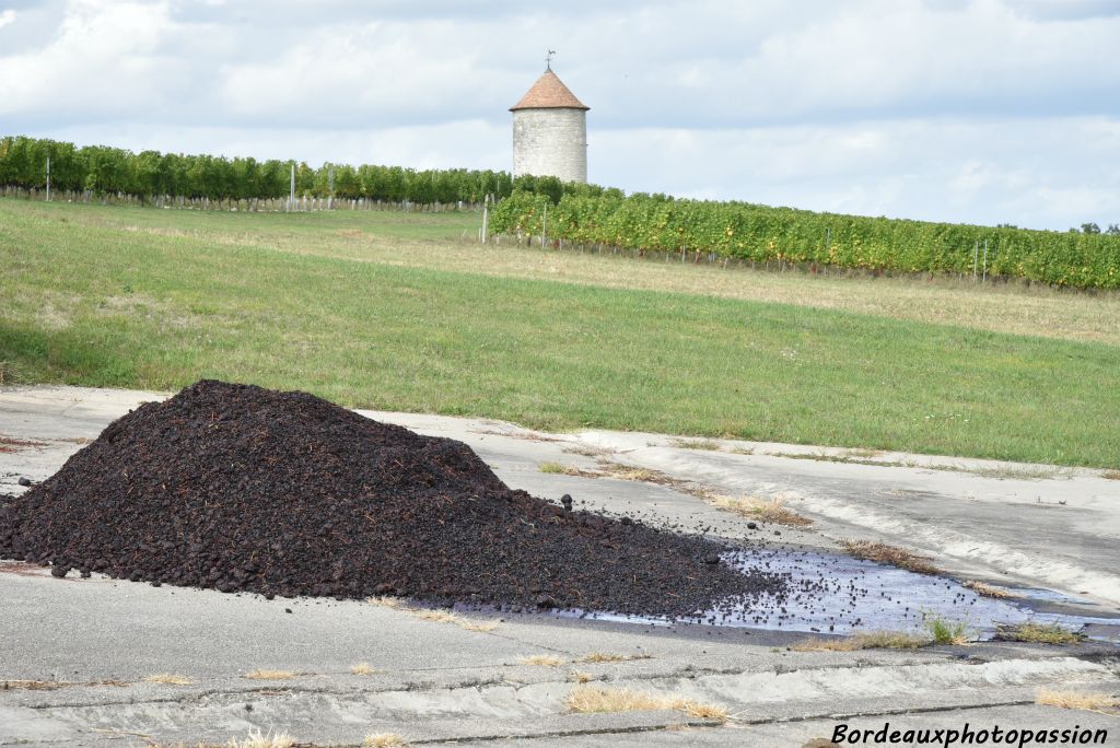 Les camions de la distillerie passent régulièrement dans les châteaux afin de récupérer le marc. Il servira après distillation à fabriquer de l'acool médical.