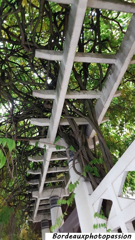 Pour rentrer dans les Bains-Douches, passage obligatoire sous une pergola.