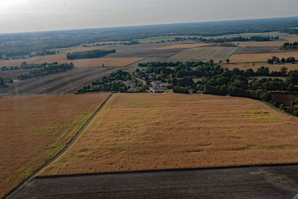 Dessous, le sol charentais a été tracé par des géomètres experts en agriculture.