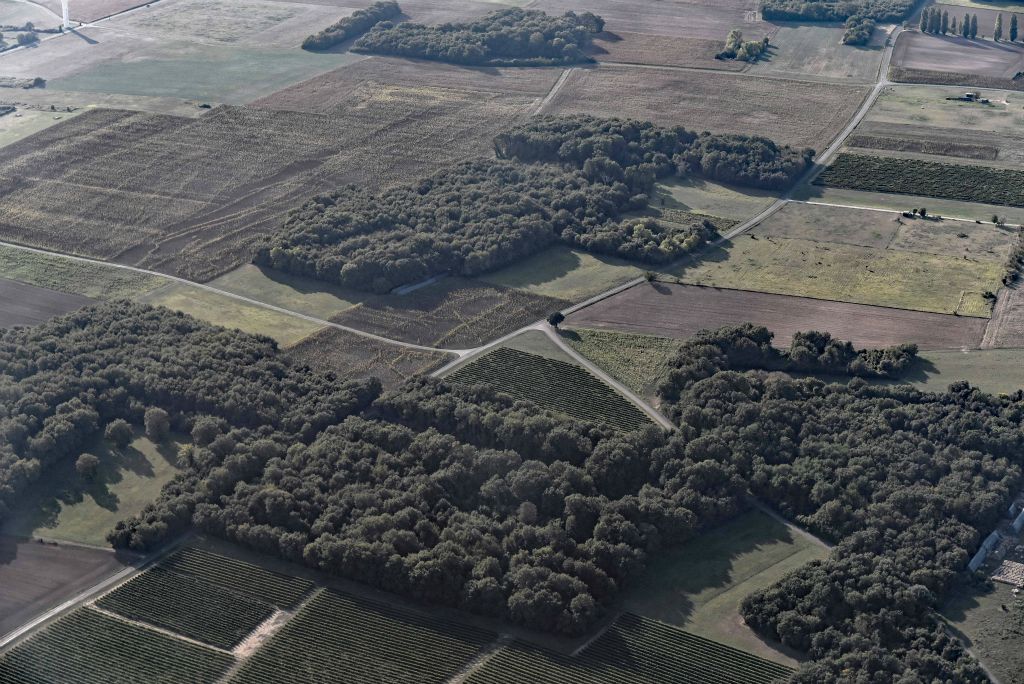 Parfois ce sont les routes qui délimitent les zones agricoles.