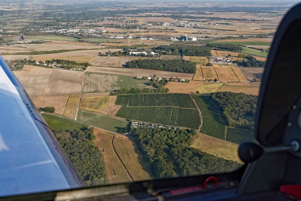 S'approchant de Cognac, on retrouve les vignes et leurs rangs tirés au cordeau.