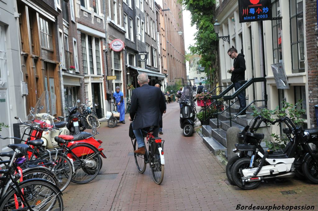 Dans de nombreuses rues, le vélo et le piéton sont rois.