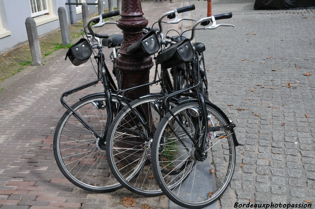 Souvent les vélos se ressemblent...