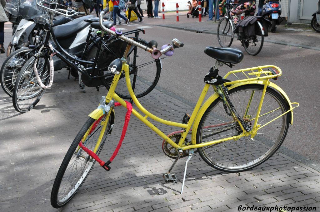 mais d'autres se différencient par la couleur...